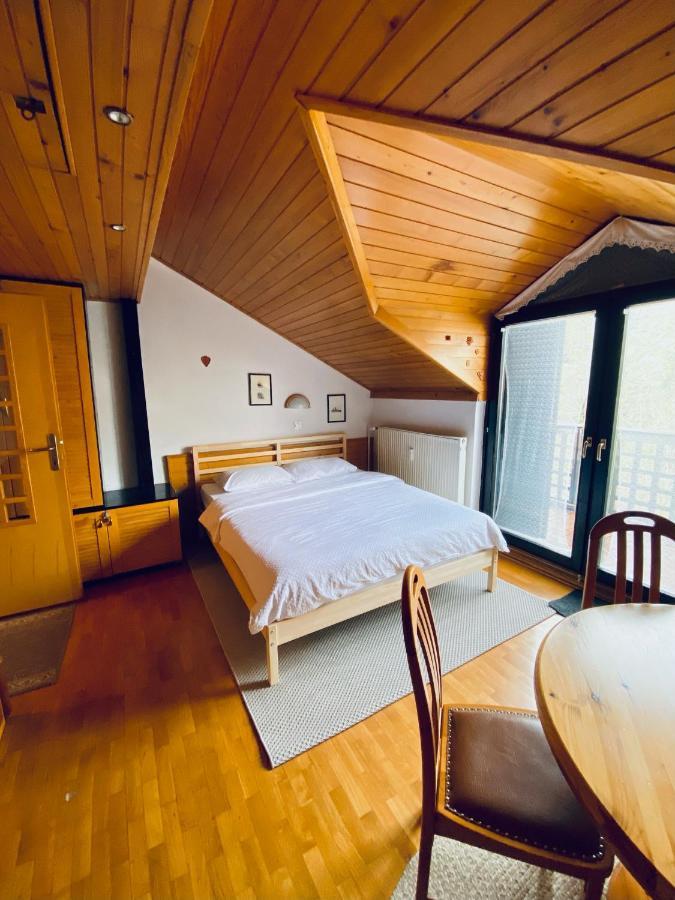 Apartma Snezinka كْرانْيِسكا غورا المظهر الخارجي الصورة